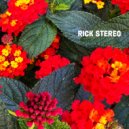 Rick Stereo - Perfect Days