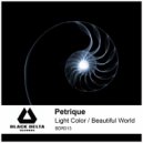 Petrique - Beautiful World (Original Mix)