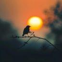 Brecc Bluitt - Leading ()