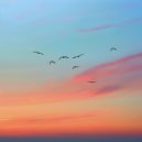 Cary Farran - Rando Reverie ()