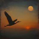 Geraint - Haunting Echoes ()