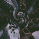 coldtree - back to the past ()