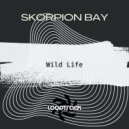 Skorpion Bay - Wild Life