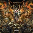 Bhangra - Immersion