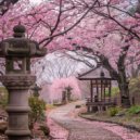 JungPure - Imagine ()