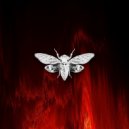 SCAVASSINI - Elemental