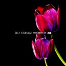 Self Storage - Unknown Situations (Original Mix)