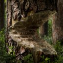 Mark Day, Elvis Lobo - The Guimarães Experience (Original Mix)