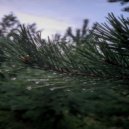 pinkless - nothing better ()