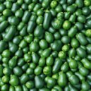 Анастасия Огонь - Кабачки (Sped Up)