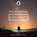 Sasha Primitive - We Gotta Make It Count