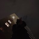 Ice $hining - PARTY FOR THE WORTHY