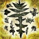 TheoEust - Sporis Fungalis (TheoEust)