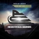 David Daks - Shining