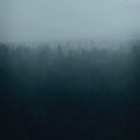 BELIK - slonovixh ()