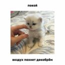 покой - Воздух пахнет декабрём ()