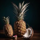 Sergio Nuevo - Summer 2011 ()