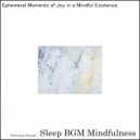 Sleep BGM Mindfulness - Embracing the Night with the Melodies of Brain Frequencies for Rest (Original Mix)