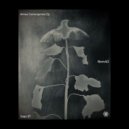 Nom4D - Turbulencia (Original Mix)