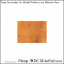 Sleep BGM Mindfulness - Brainwaves Emerge, Bringing Calm to Nights of Insomnia (Original Mix)
