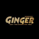 G3n3xgy & G3n3xgy - Ginger (Am i Too Harsh For You)