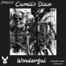 Camilo Diaz & Stateeast - Wonderful