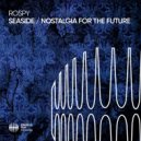 Rospy - Nostalgia For The Future