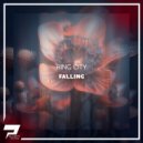 Ring City - Falling