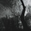 Incipit Chaos - Тени тумана ()