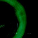 Urquiaga - Niebla (Veiga Remix)