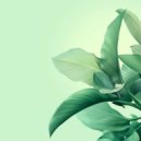 archipelago beats - Hotel Lobby (Original Mix)