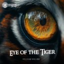 William Rollins - Eye Of The Tiger