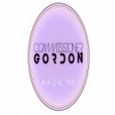 Commissioner Gordon - Hair Do