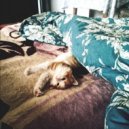 coldsummer - eternity ()