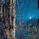 coldsummer - far away from home ()