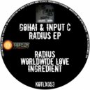 Gohai & Input C - Ingredient (Original Mix)