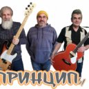ПРИНЦИП - Снеги, Морозы, Туманы(эмбиент верс.)