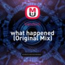 Vanderli - what happened (Original Mix)