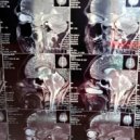 0212 - The neuron ()