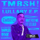 TMBSH! - Embryo (Original Mix)