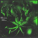 WLKR - Dubbed Groove (Original Mix)