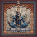 Biological (BR) & Overhead (PSY) - Hanuman (Original Mix)