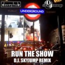 DaveyHub & D.J. Skyjump - Run The Show