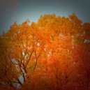 Ционид - Autumn Sunset ()