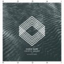 Hobin Rude - Cryptic Waves