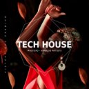 Miami Shakers - Scarlett (Original Mix)