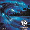 CHMI - Rainforest (Original Mix)