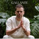 Gallante - Bossa Trip