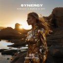 Marco & Dov, Remusic - Synergy