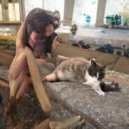 Chaz Stahle - Oops! All Loops ()